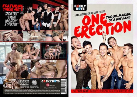 One Erection 2016 HD Gay DVD