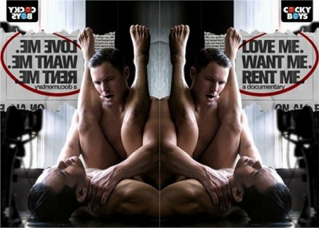 Love Me. Want Me. Rent Me. 2015 HD Gay DVD