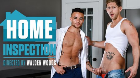 Home Inspection - Roman Todd & Beaux Banks 2020-11-18