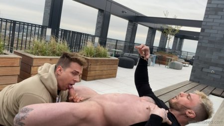 OnlyFans - Ace Quinn & William Seed